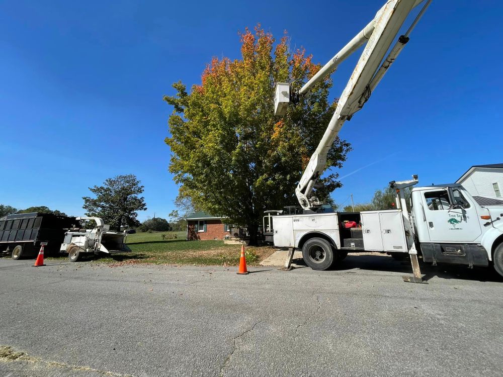 Tree Removal for Ross Family Tree Service LLC  in Hohenwald, TN