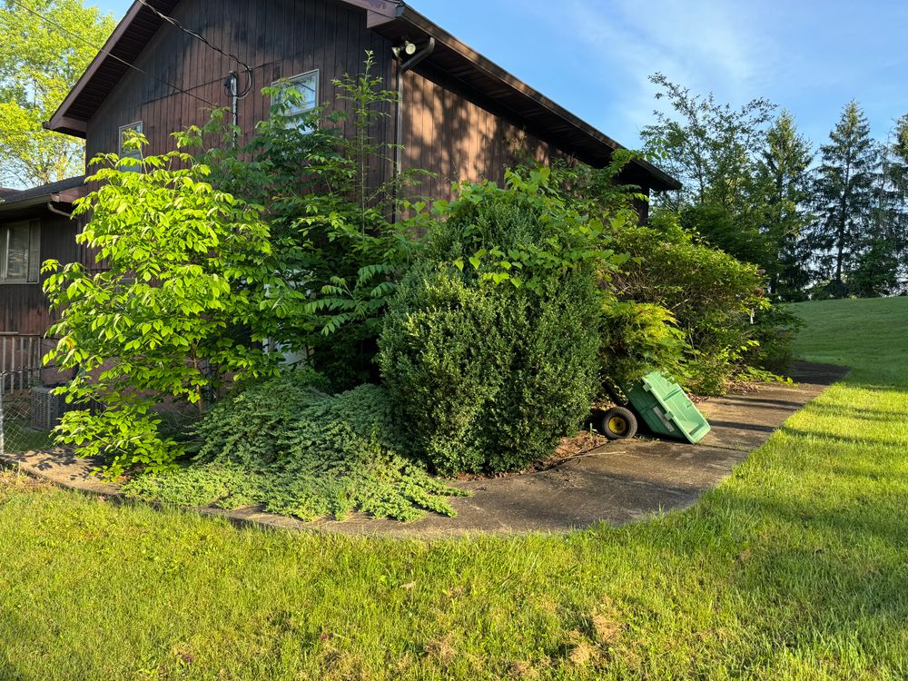 All Photos for Wynn Home Services in Marietta, OH