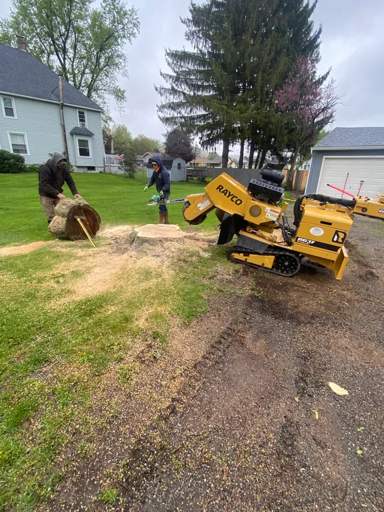 Stump grinding  for Licensed to Cut Tree Service in Athens, PA