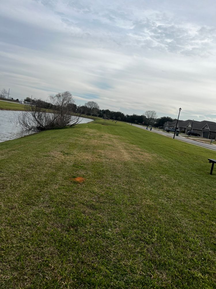 All Photos for Enhanced Landscape in Daphne, AL