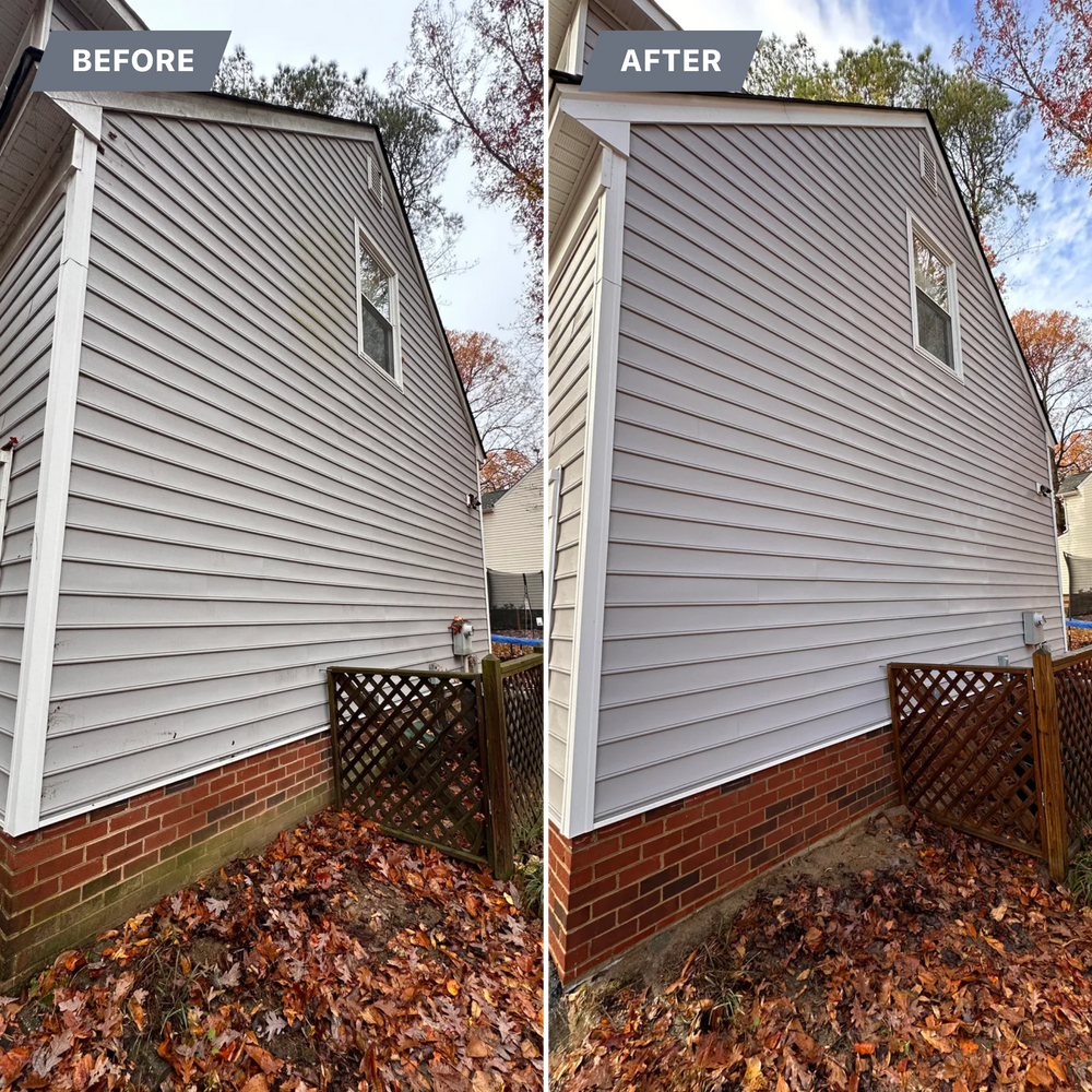 All Photos for LeafTide Solutions in Richmond, VA