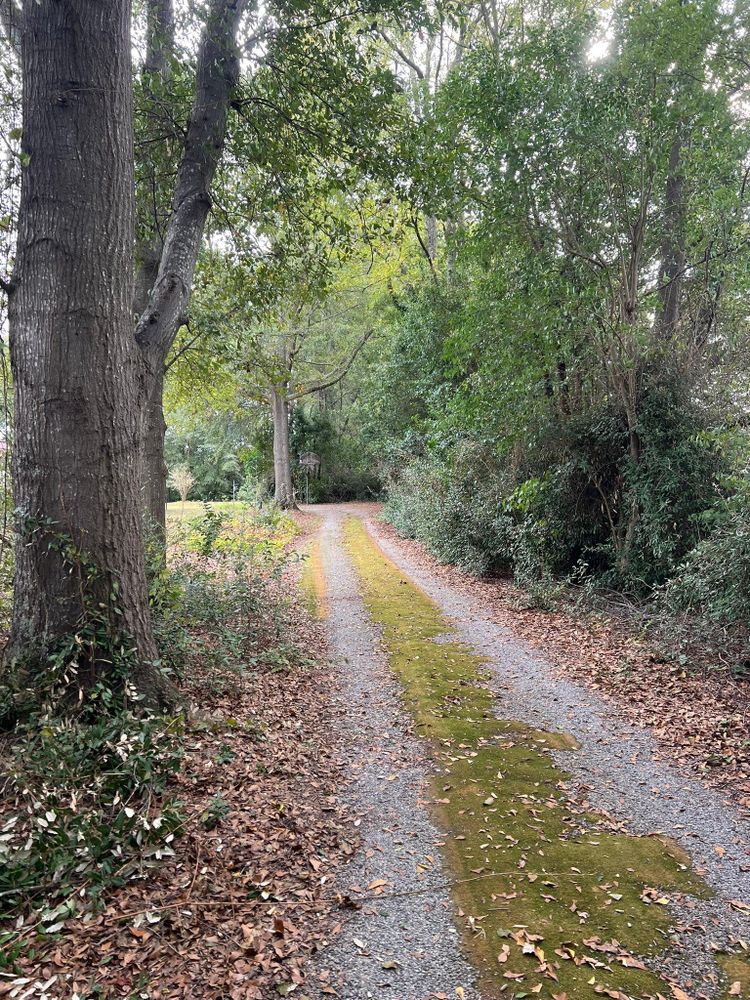 All Photos for Brooks Tree Service in Casar, NC