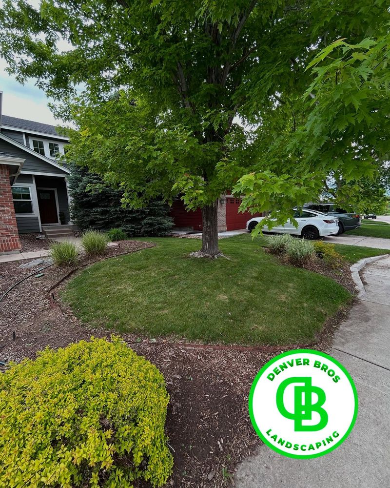 All Photos for Denver Bros Lawn Control in Denver, CO