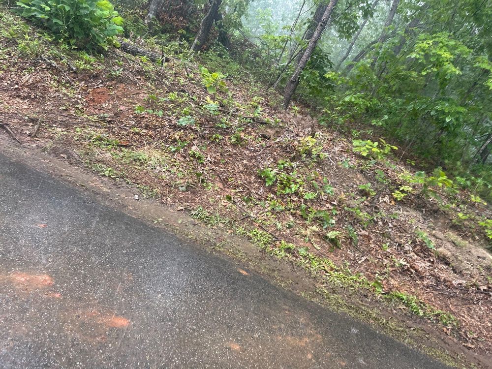 All Photos for Rescue Grading & Landscaping in Marietta, SC