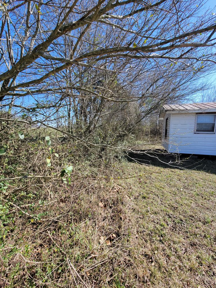 All Photos for Z's Land Management & Forestry Mulching in Smithville, TN