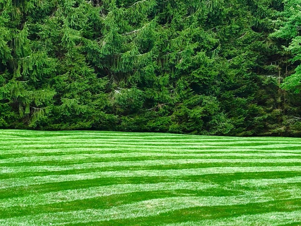 All Photos for Sustainable Lawn and Landscape in Banner Elk, NC