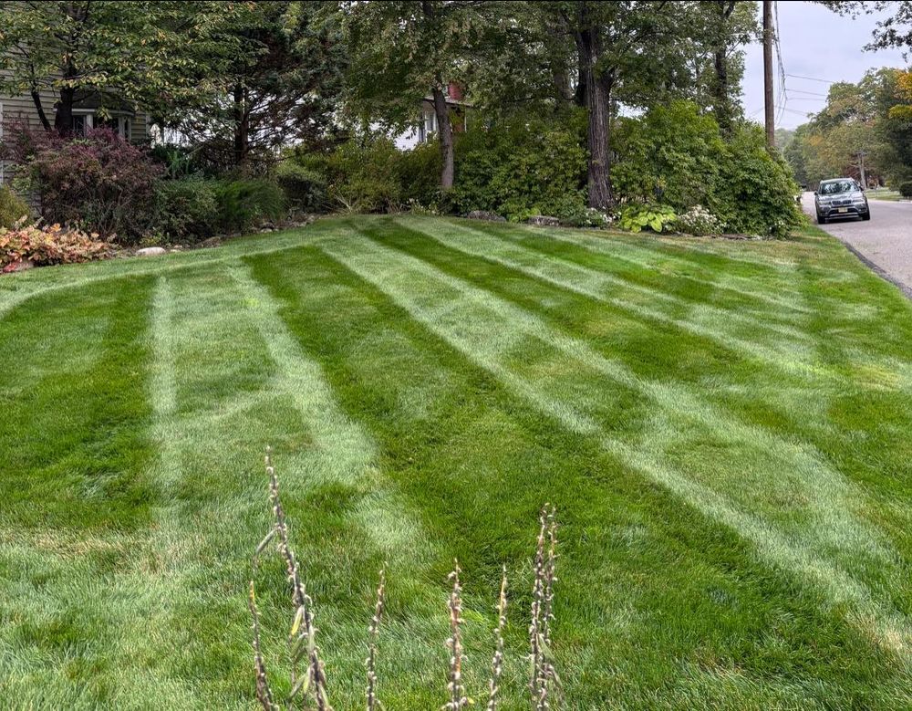 Our Lawn Maintenance service ensures your yard stays lush and healthy with expert care, including regular mowing, fertilization, and weed control for a pristine outdoor space you'll love year-round. for MDR Landscaping in Urbana, IL