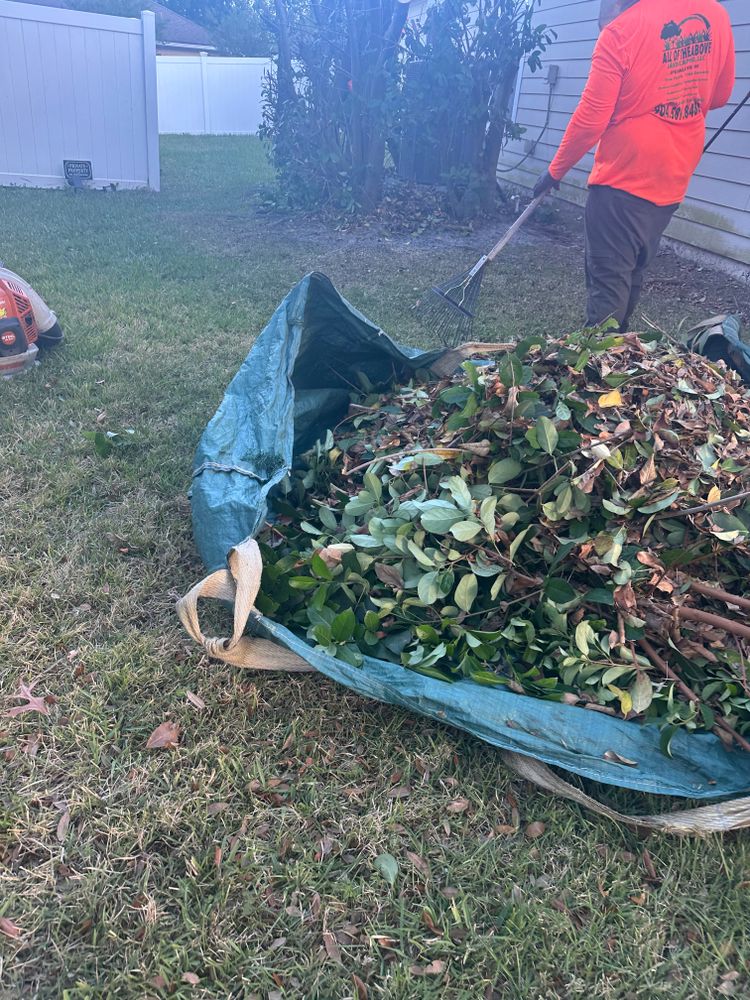 All Photos for All of the Above Landscaping in Orange Park, FL