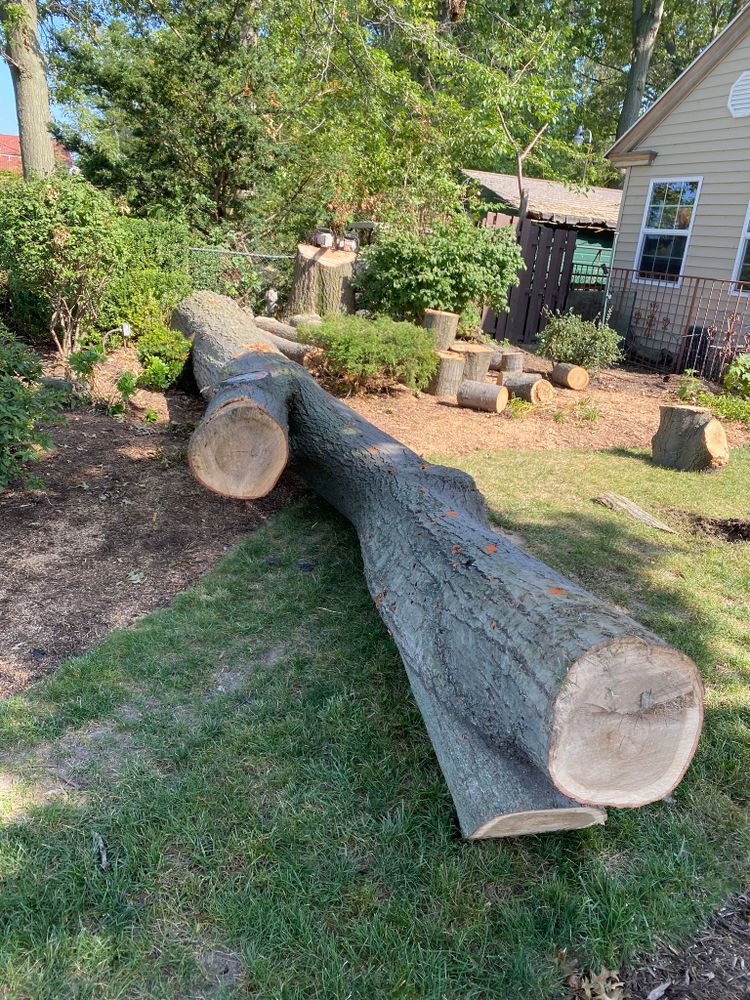 Our Tree Removal service offers professional, safe, and efficient removal of hazardous or unwanted trees, enhancing your property's safety and appearance with minimal disruption to your landscape. for Down To Earth Tree Service, LLC in Olmsted Falls, OH
