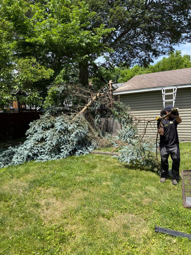 Tree Removal for Blakescape in Elkhart, IN