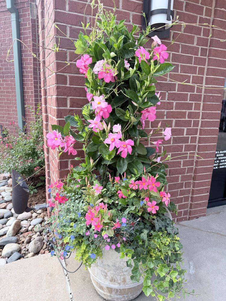 All Photos for Urban Lawn & Landscape in Oklahoma City, OK