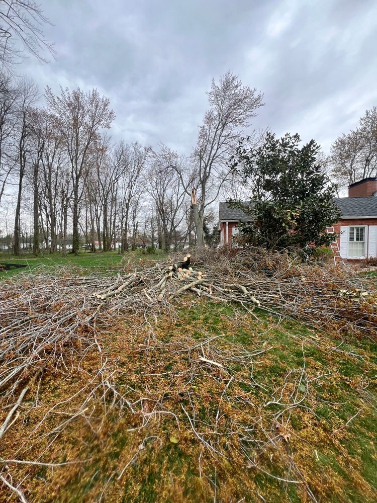 All Photos for Kadin’s Tree Service in North Vernon, IN