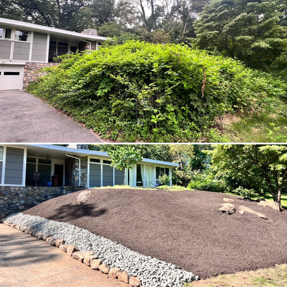 Landscaping for LJ Lawn & Property Maintenance, Inc. in Cold Spring, New York