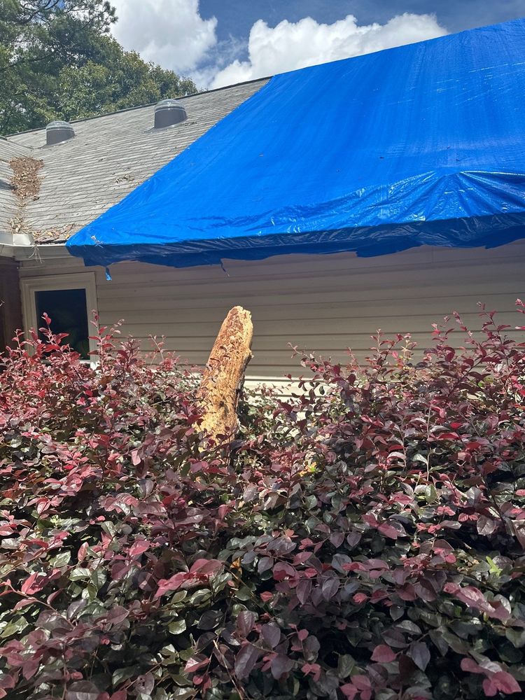 All Photos for Bulldawg Disaster Response in Atlanta, GA