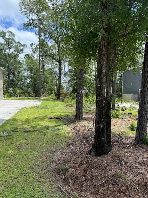 All Photos for Hawkins Tree Service & Land Management in Richmond Hill, GA