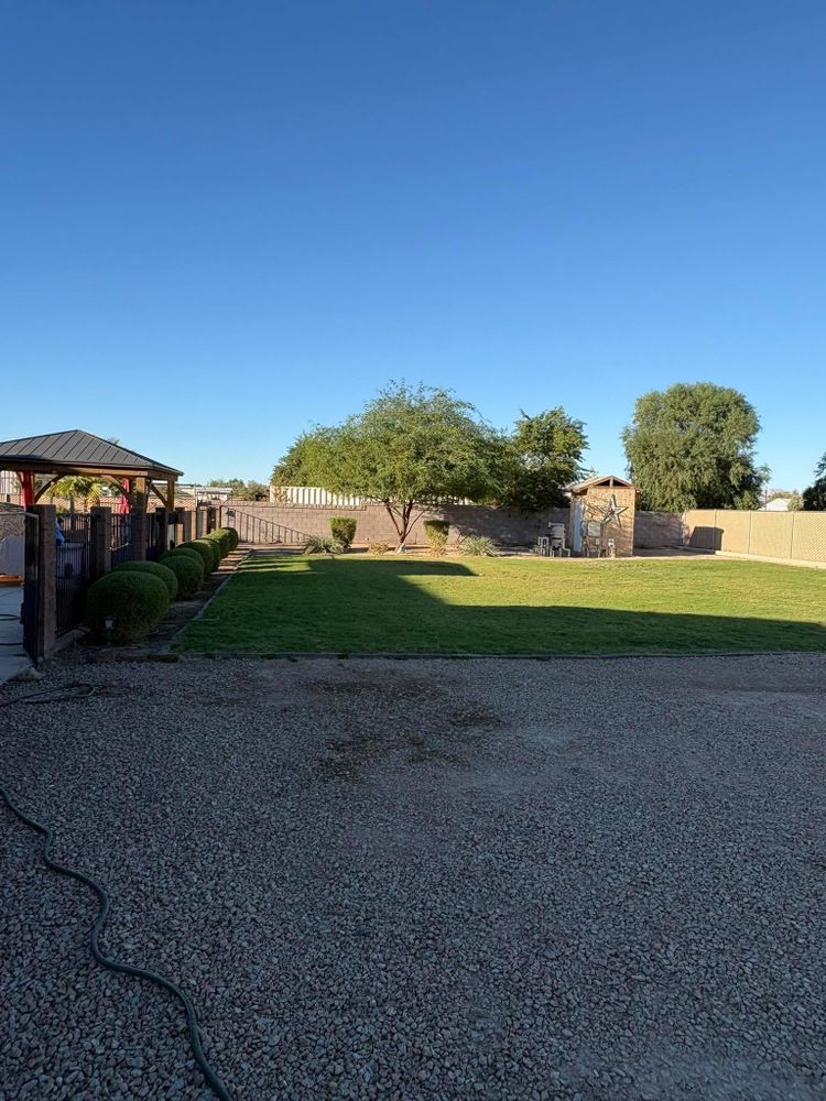 All Photos for Top Notch Landscape Services LLC in Mohave Valley, AZ