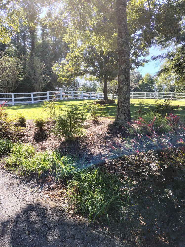 All Photos for MHS Solutions in Rydal, GA