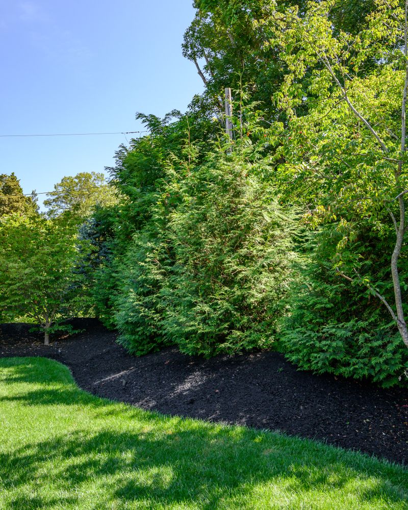All Photos for Pungitore Landscapes, Irrigation & Fertilizer in Hingham, MA