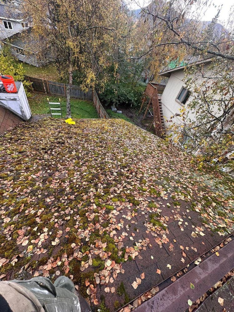 All Photos for Alaskan Residential Rescue in Anchorage, AK