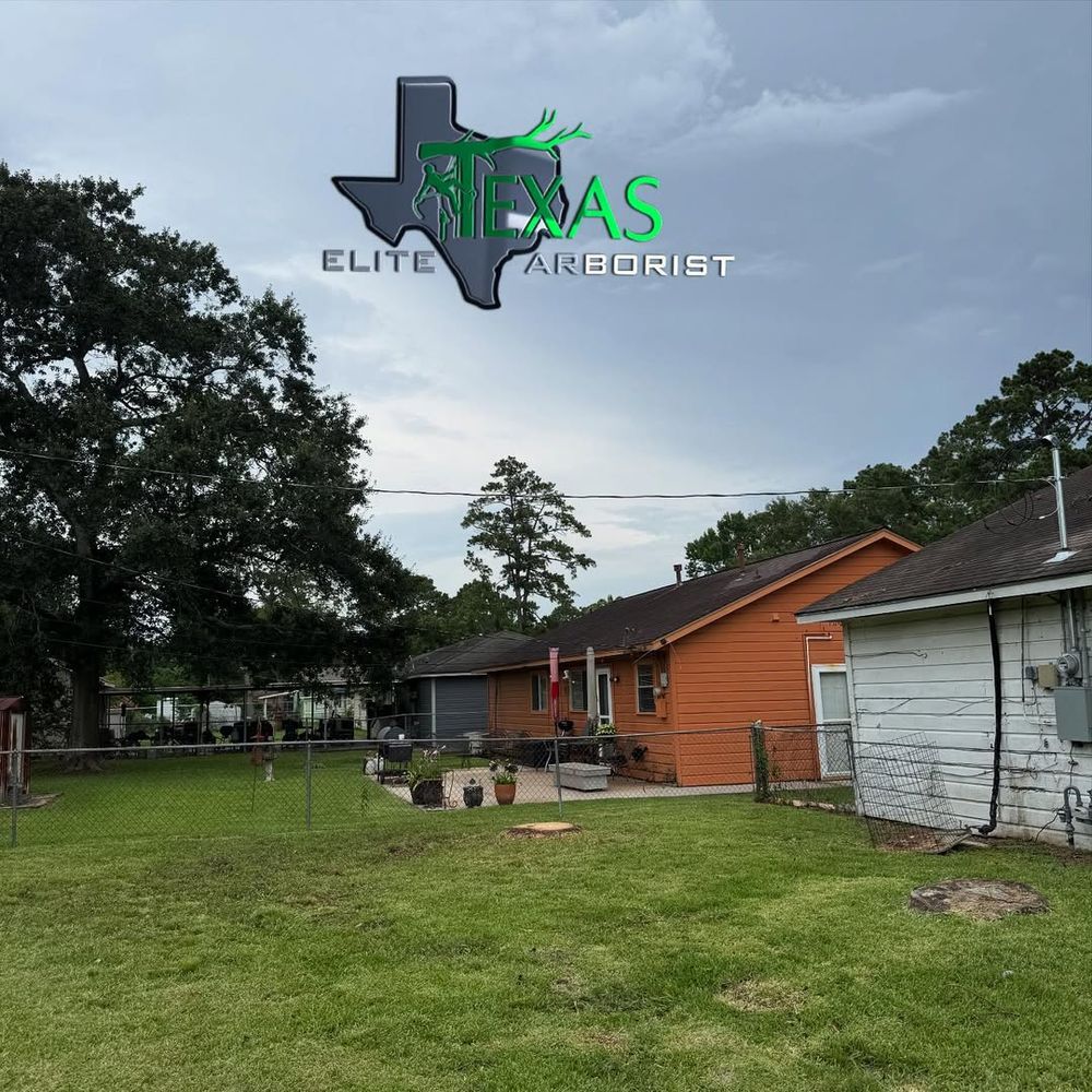 Our stump removal service efficiently eliminates unsightly stumps, enhancing your landscape’s appearance and safety. We utilize advanced equipment to ensure complete removal, promoting healthy growth for surrounding plants and improving overall property aesthetics. for Texas Elite Arborist in Houston, TX