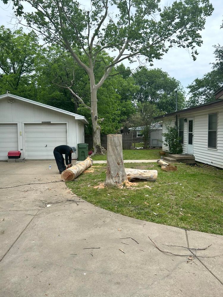 Our Tree Removal service provides safe and efficient removal of unwanted or hazardous trees, enhancing your property's safety and aesthetics while minimizing damage to surrounding landscape with professional care. for Muniz Tree Service in North Richland Hills, TX