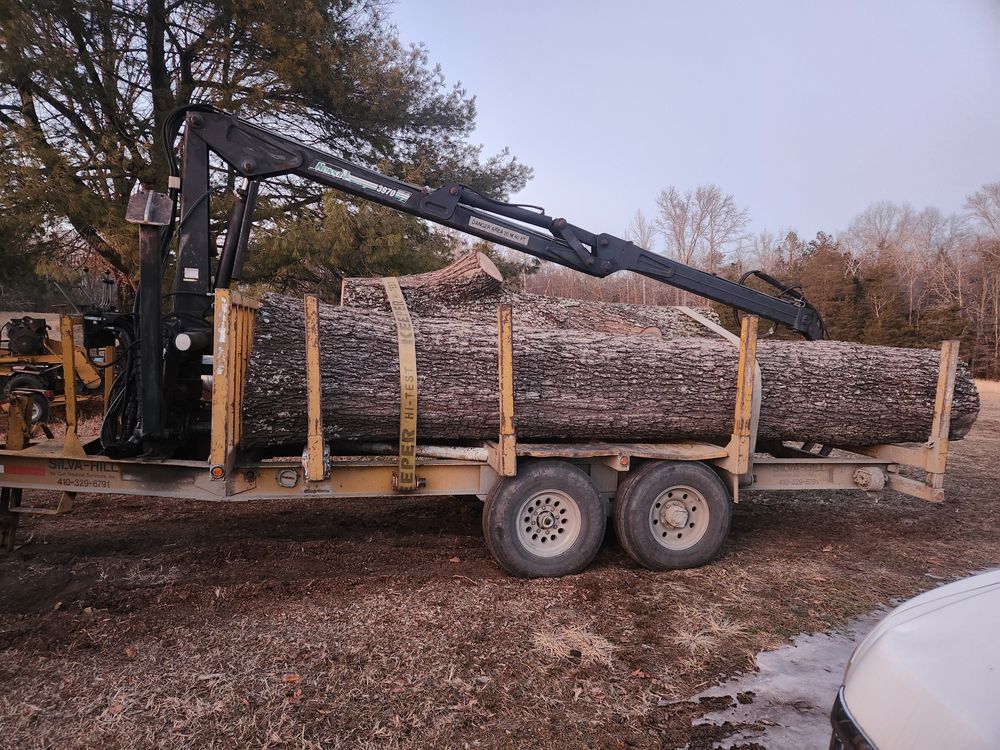 All Photos for Smith Tree Experts in Palmyra, VA