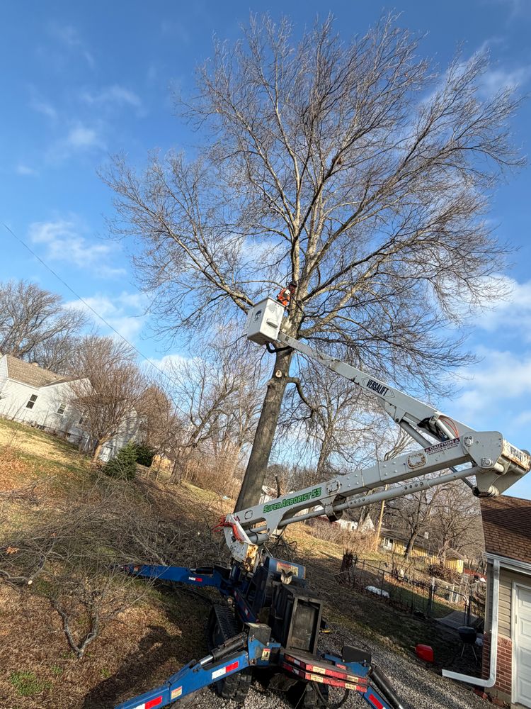 All Photos for Cross Family Tree Service in Kearney, MO