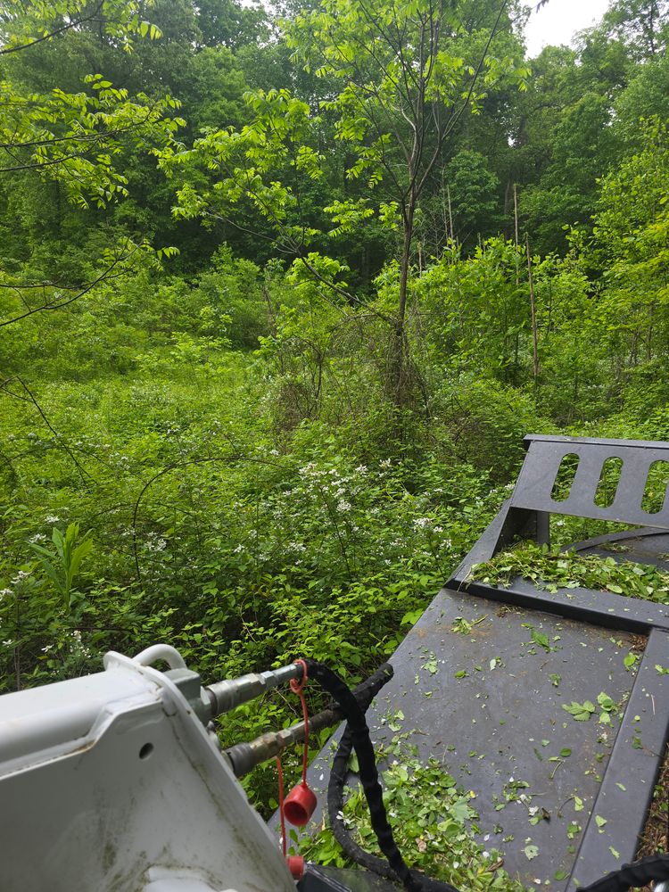 All Photos for Williams Lawn & Land in Sharps Chapel, TN