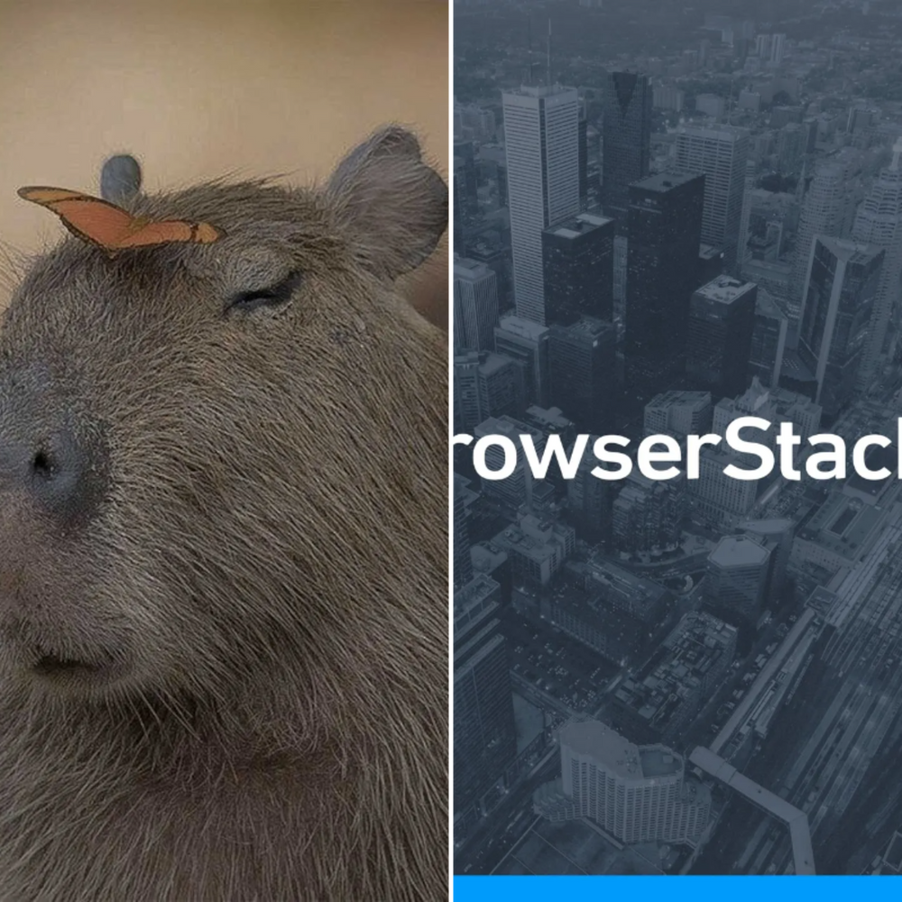 All Photos for Down Dog Yoga in Boston, MA