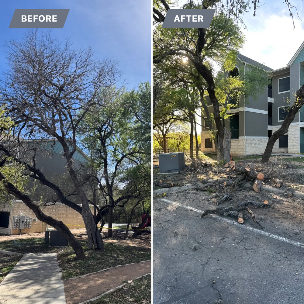 All Photos for DR Landscape in San Antonio, TX