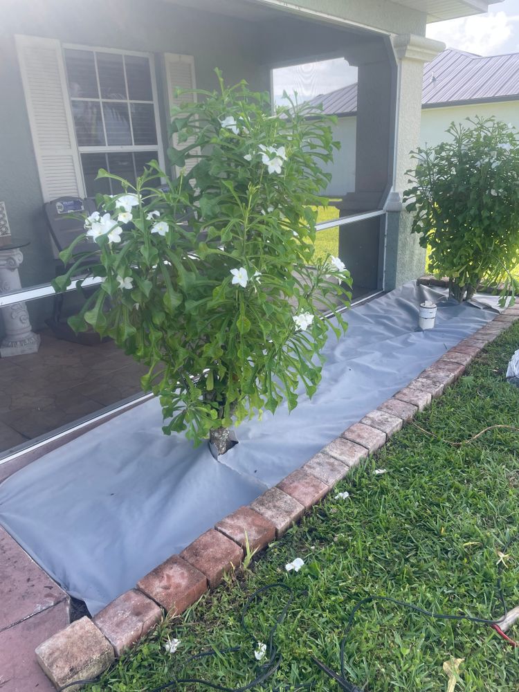 All Photos for BH Lawn and Landscape in Fort Myers, FL