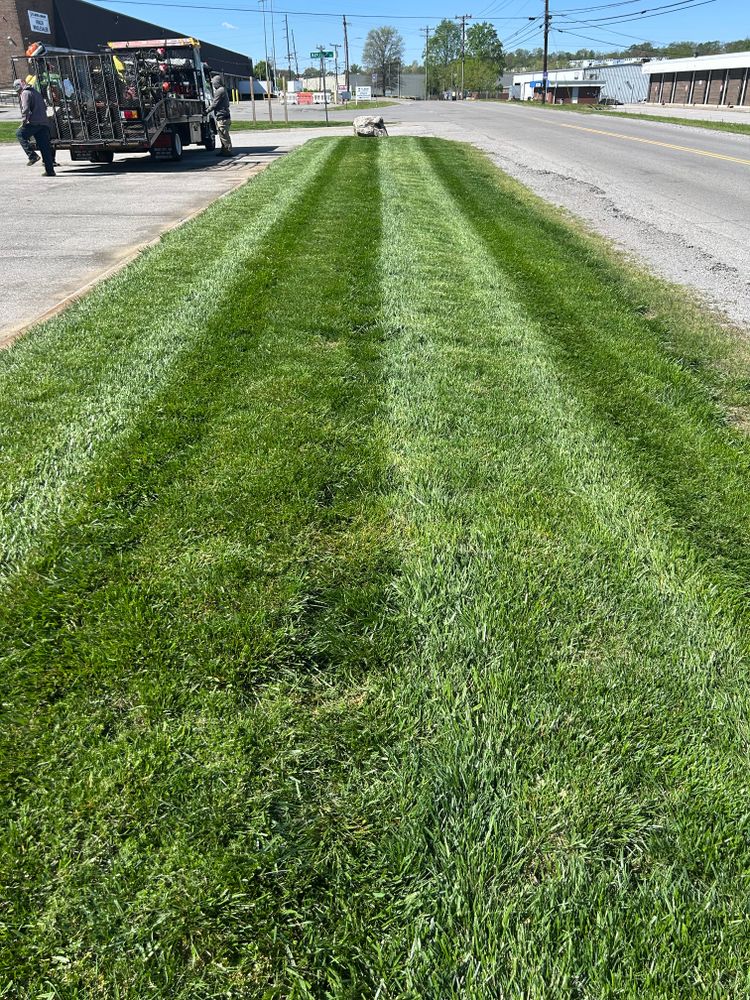 All Photos for Mid South Lawn Inc. in Nashville, TN