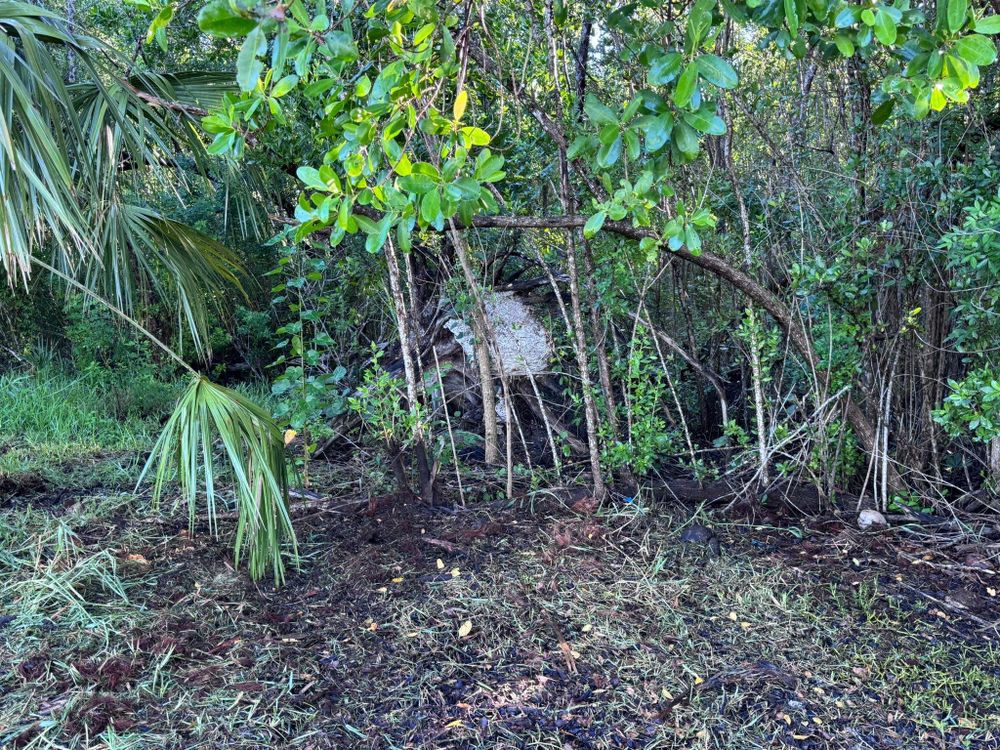 All Photos for McLeran in Naples, FL