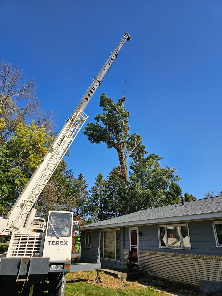 All Photos for Down To Earth Tree Service in Red Wing,  Minnesota