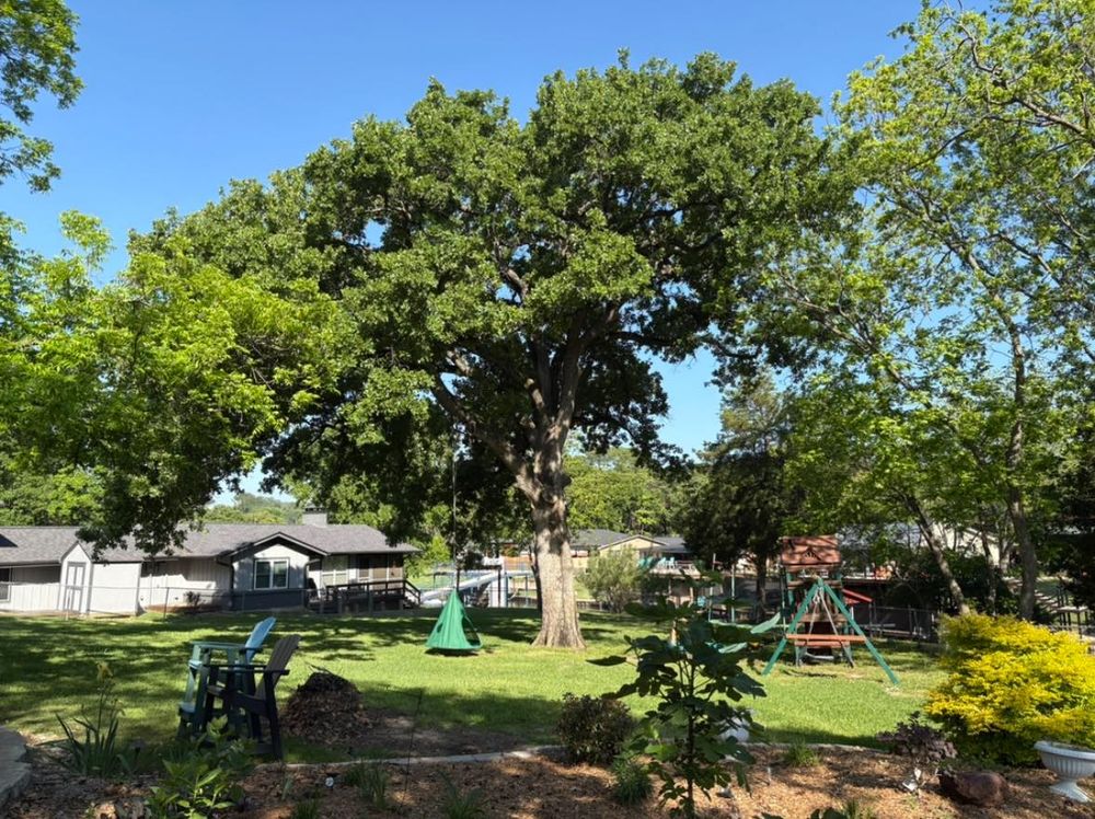 Our Tree Preservation service focuses on maintaining the health and longevity of your trees through expert assessments, proper care techniques, and sustainable practices to enhance aesthetic value while protecting the environment. for Arbor Max Solutions in Gun Barrel City, TX