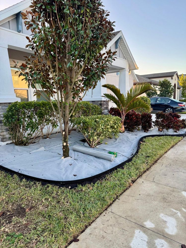 All Photos for Shoreside Property Services in Apollo Beach, FL