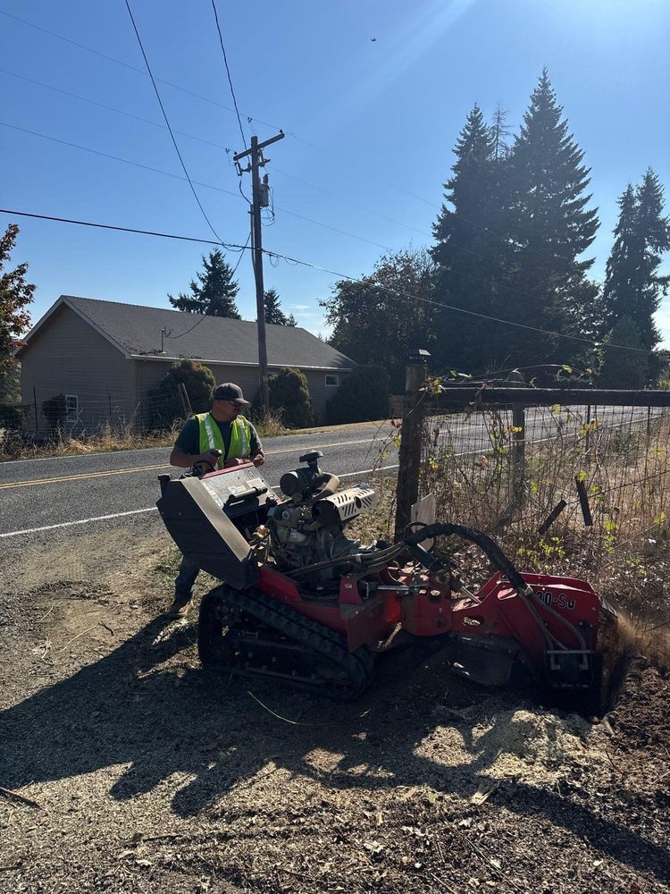All Photos for Willamette Landscaping and Tree Services in Albany, OR