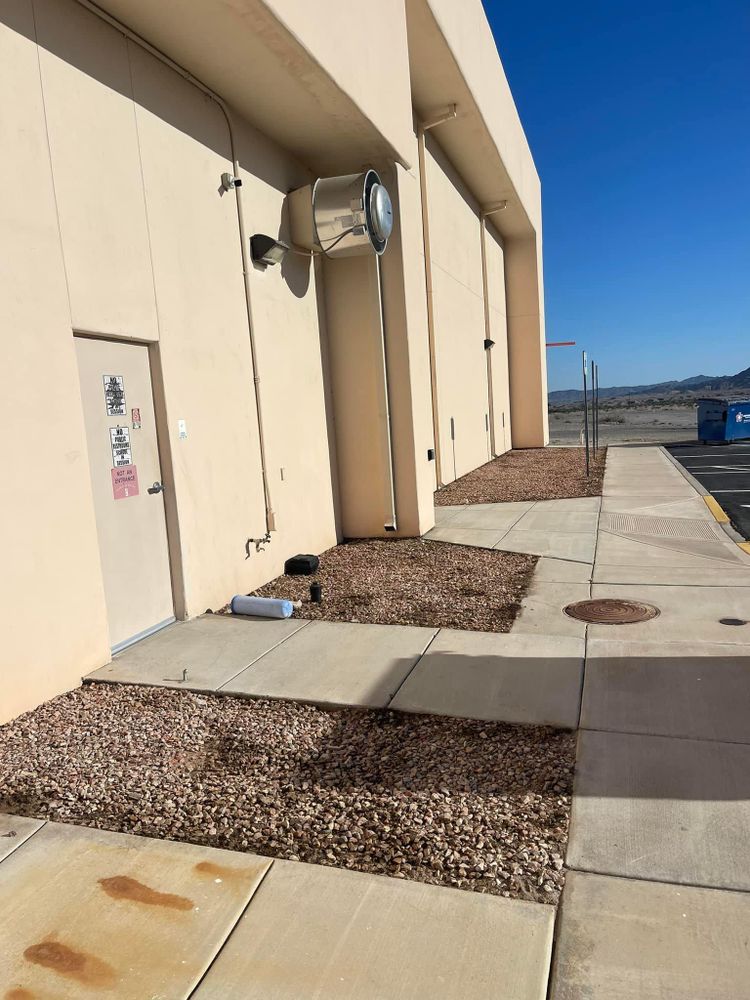 All Photos for Oliver L. Palm & Tree services in Yuma County, AZ