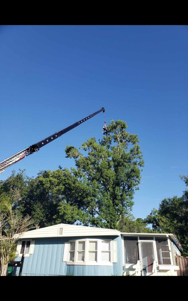 Our Crane Service expertly removes difficult-to-reach trees, ensures safety and precision, minimizes property impact, and provides efficient solutions for all your arboricultural needs—making tree care seamless for homeowners. for A Southern Style Tree Service in Orlando, FL