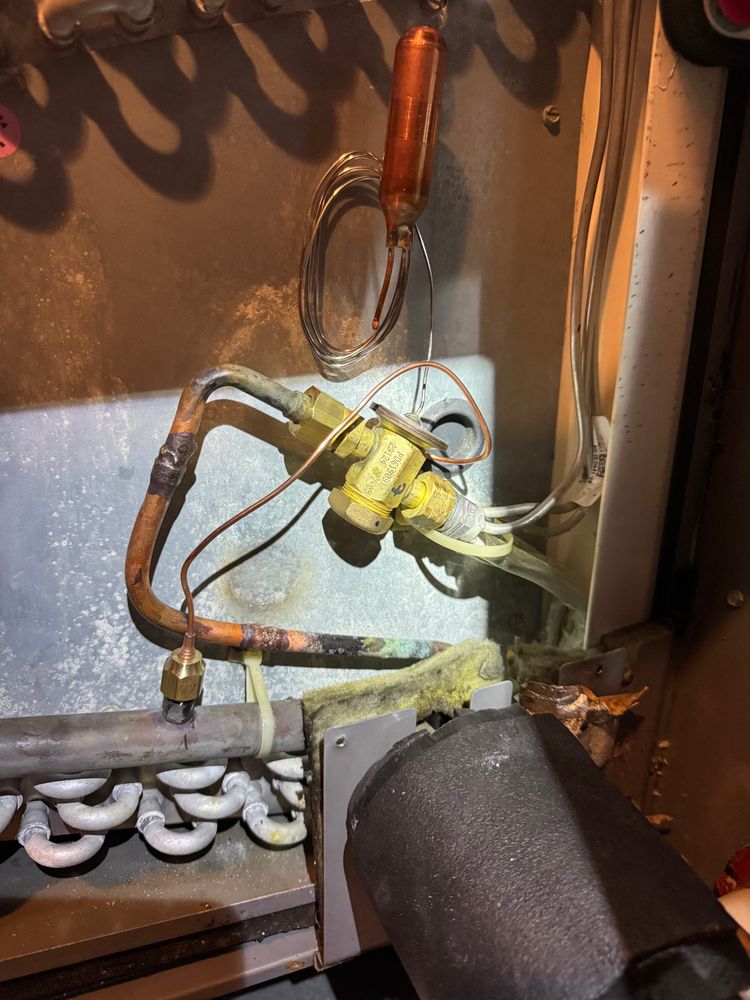 All Photos for College Grove Service Company in College Grove, TN