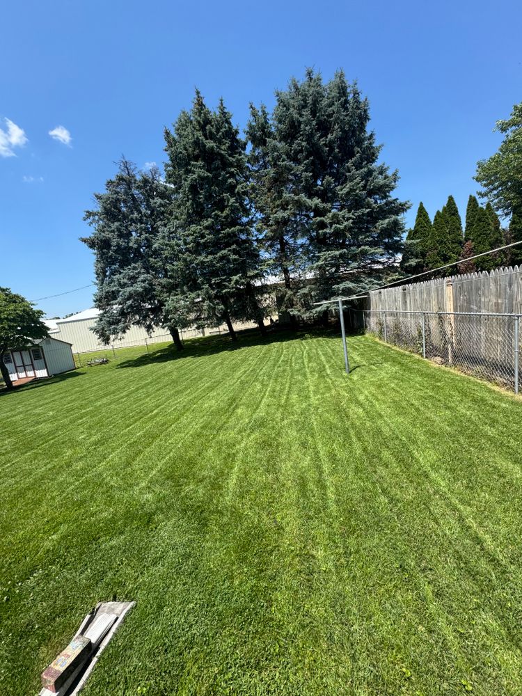 All Photos for Landscape & Lawn Care Pros in Temple, PA