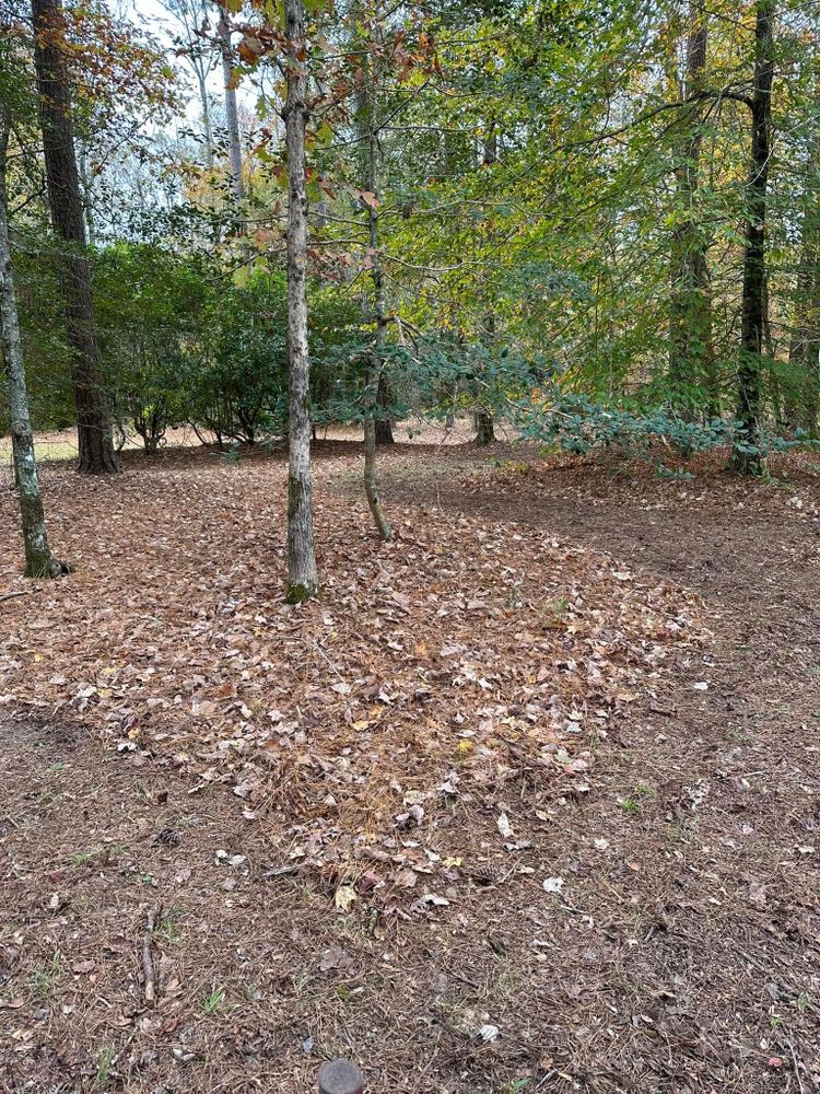 All Photos for Cahoon's Coastal Lawn Care Services in Manteo, NC