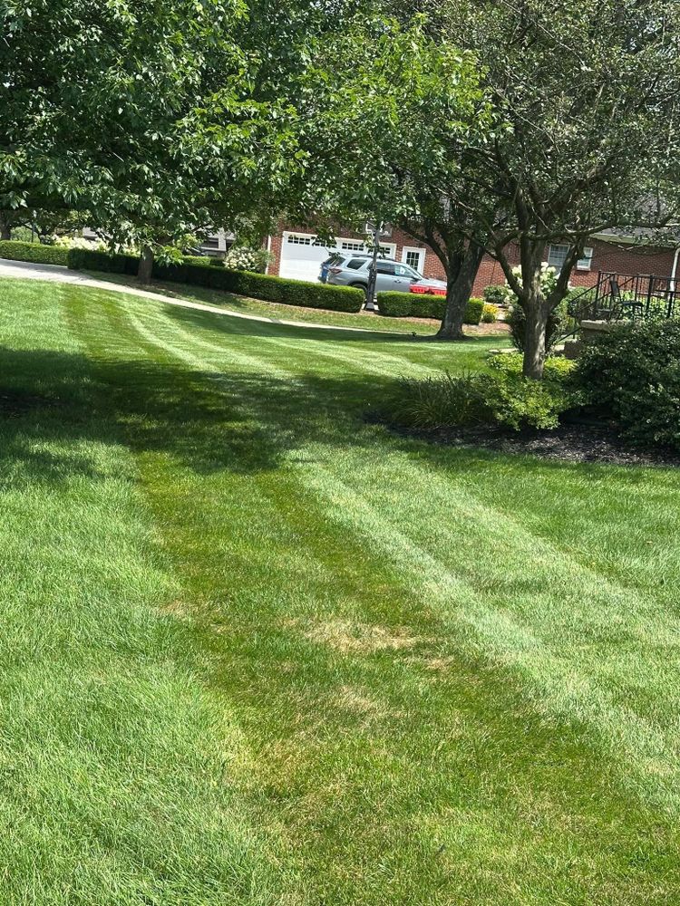 All Photos for JKL Lawn Service in Frankfort, KY