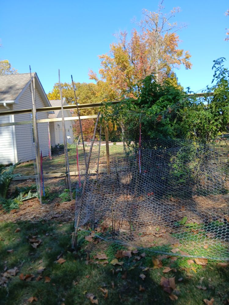 Carbondale fence for Dead Tree General Contracting in Carbondale, Illinois