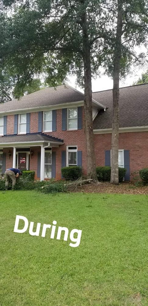 Tree Removal for DNA Tree Service in Birmingham, AL