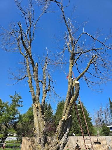 All Photos for JLB Painting And Handyman in Charlevoix, MI