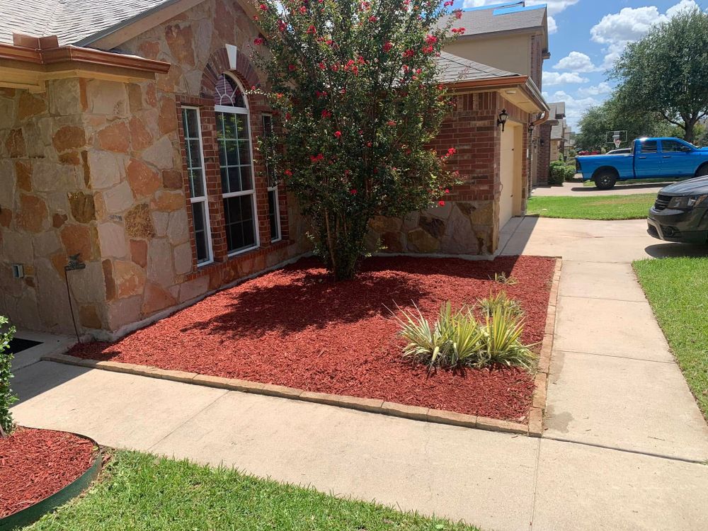 All Photos for Scalpel Lawn Service in Temple, TX