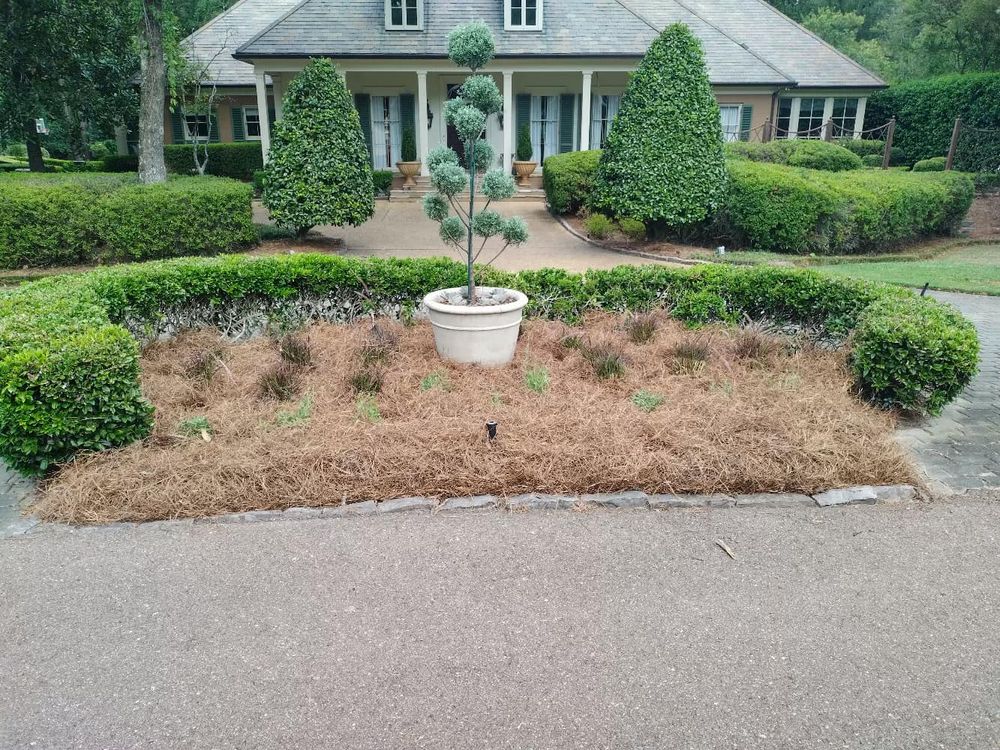 Landscaping for Amis Lawn and Landscape, LLC in Clinton, MS