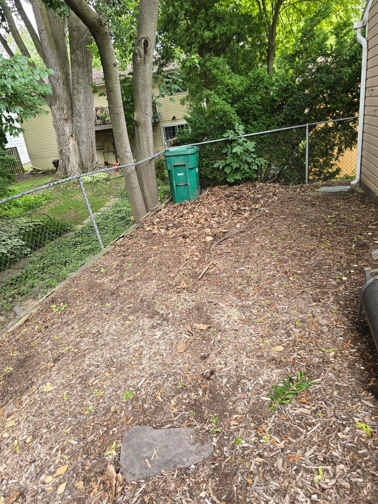 All Photos for Newton's Junk Removal Services in Saline, MI
