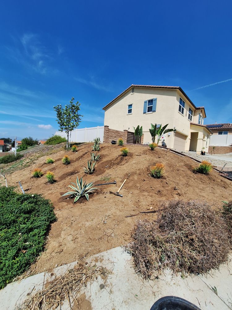 All Photos for Best Lawncare in Colton, CA